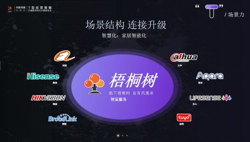 正定論道 華數傳媒蘇松解析T型經營策略，以數字文創內容服務打造大屏新生態