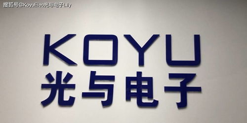 數字文化新體驗 維安、光與電子及數字創意服務的融合之路