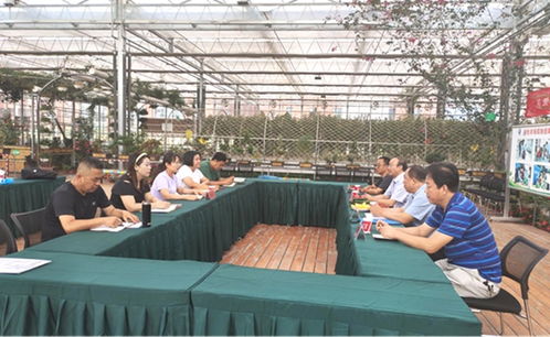 科技助殘促發(fā)展，專家指導(dǎo)助力農(nóng)業(yè)現(xiàn)代化——省殘疾人農(nóng)業(yè)科技指導(dǎo)中心開展現(xiàn)代農(nóng)業(yè)科技示范園專家指導(dǎo)活動